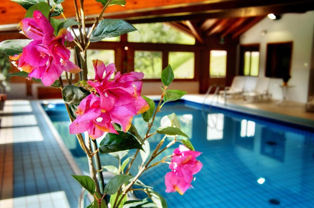 Albergo Miramonti ราบบิ ภายนอก รูปภาพ